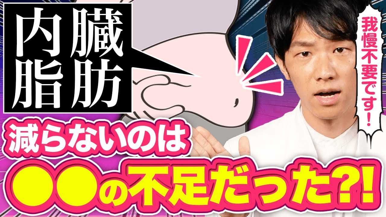 何をやっても内臓脂肪が減らない原因は●●不足！内臓脂肪を消す栄養素と食べ物を解説【管理栄養士が解説】