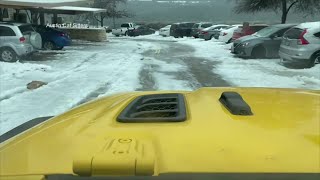 Cat-sitting company co-owner shares journey of checking on cats during winter storm