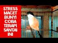 Silahkan Coba Terapy Santai Untuk Cendet Stress Macet Bunyi Atau Masalah Lain Mp3 - Mp4 Download