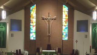 Twelfth Sunday in Ordinary Time, June 20, 2026