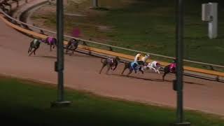 WGL TUE 10 NOV 20 R11