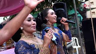 Kelayung Layung Koplo Yuli Ft Kiki Cdanursari Prinda Budaya Tmii