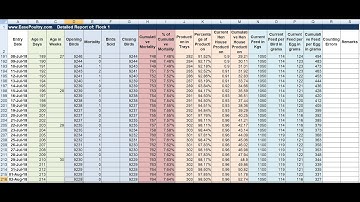 EasePoultry -  Excel Reports for Poultry Farm Management
