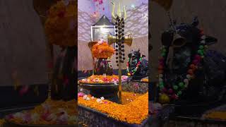 har har Mahadev 🕉️🔱 ​#Mahadev #LordShiva #BholeNath #Devotional #Spiritual #Shivling #Hinduism