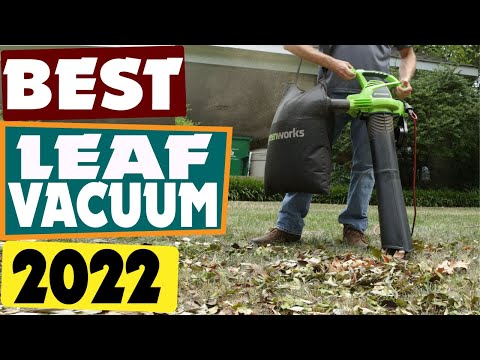 10 Best Leaf Vacuums of 2022 [Reviews]