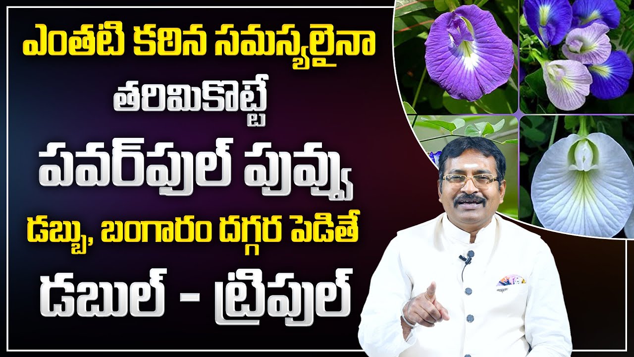 BVSS Reddy : Shankupushpam Benefits in Telugu | Money Attracting Things | Best Vastu Tips | M Qube