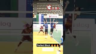 Perfect Block ??? Volleyball