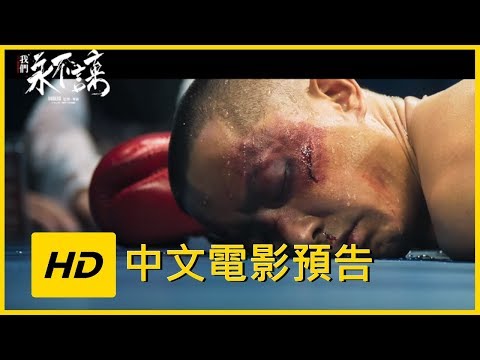 【Knock Out】Movie Trailer |JELLY MOV3