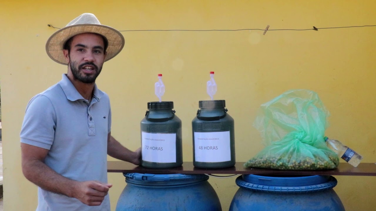 Mini curso de fermentação de cafés- Coocaminas - parte 2