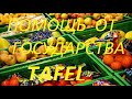 Помощь от государства. Помощь в Германии. TAFEL