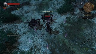 The Witcher 3: Heddel abandoned site