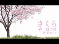 【初音ミク】さくら/森山直太朗【カバー】