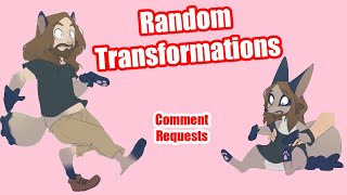 Random Transformations: Comment Requests #13
