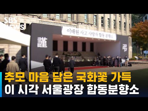 추모 <strong>마음</strong> 담은 국화꽃 가득…이 시각 서울광장 합동분향소 / <strong>SBS</strong>