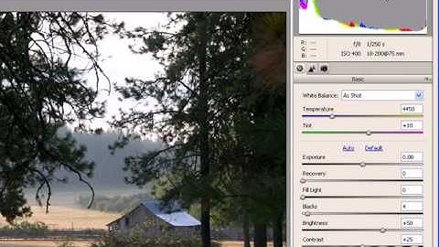 How to use Adobe Camera Raw