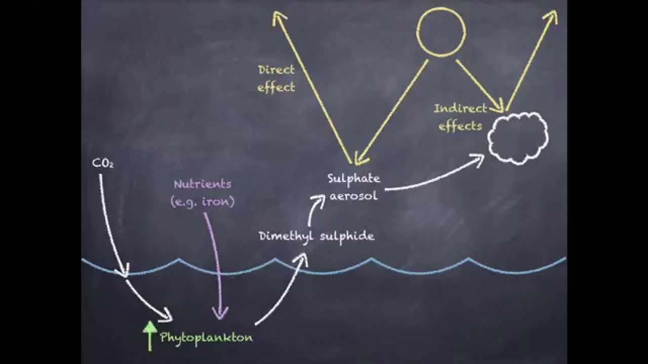 Enhanced marine sulphur emissions offset global warming and impact rainfall