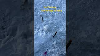 #fishing #alaska #icefishing #anchorage #little cambell lake