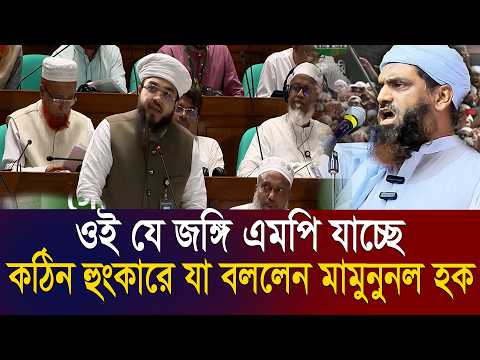 নবীর সুন্নত নিয়ে জঙ্গি বলাই কঠিন হুংকারে একি বললেন' ,গোপন তথ্য ফাঁস=আল্লামা মামুনুল হক=03/04/26 #waz