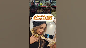 دیدی اجل معلق و بلاگر ترند خندارترین بلاگر ایرانی Funny ترسناک کمدی سریال واینر اینفلوئنسر 