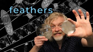 #microminute 5 feather