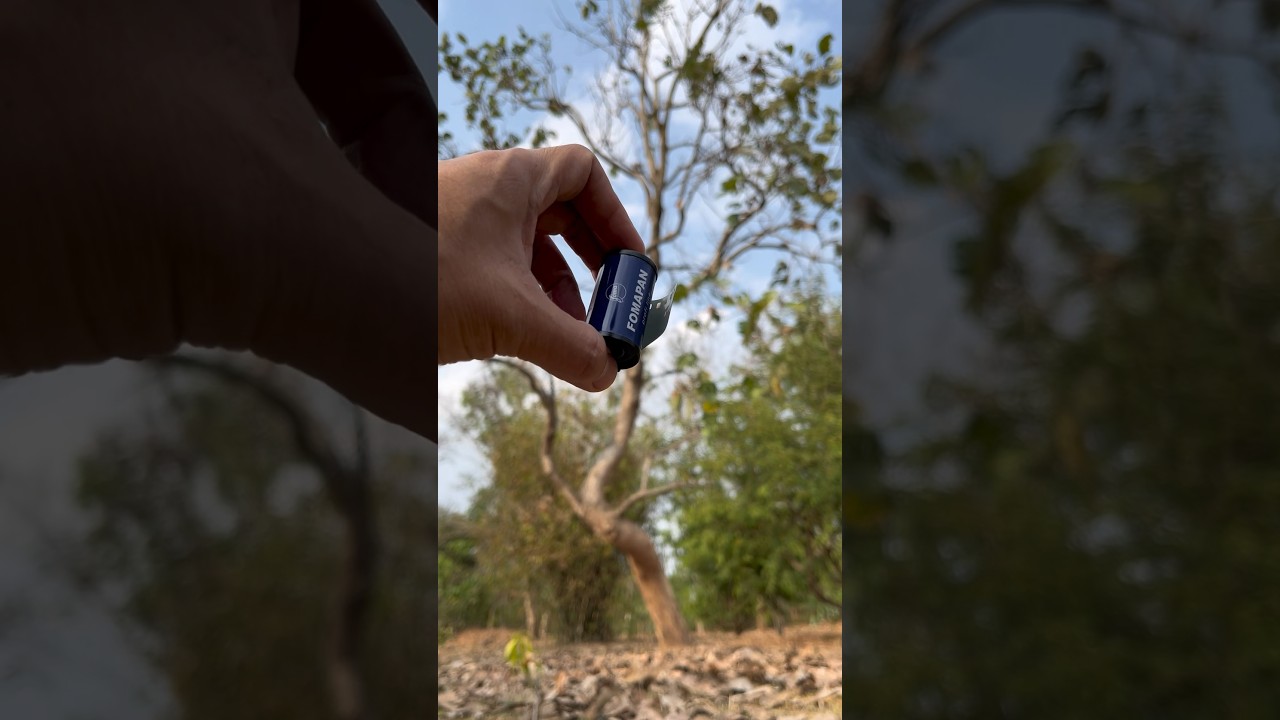 Formapan R 100, ฟิล์มขาวดำสไลด์, ニコン Nikon FM2, Black and White Reversal Film