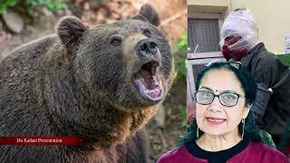 Bear Attacks On Human- Wild Animals Terror in Rural Uttarakhand | Leopard &amp; Bear Fear In Uttarakhand