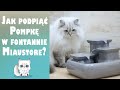 How to attach a pump in the miaustore cat fountain