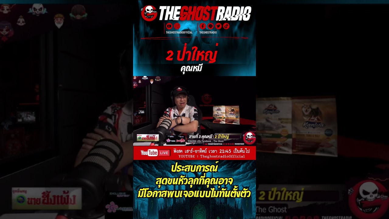 2 ป่าใหญ่ • คุณหมี | #shorts #theghostradio