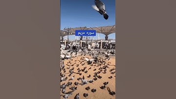 ايات قرانيه قصيرة  سورة  مريم