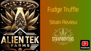 400 An Oz??? Warning This Fudge Truffle Strain Will Blow Your Mind Alien Tek Farms