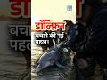 Ganga Dolphin Conservation | Prayagraj में शुरू हुआ Dolphin Friends Campaign | NEXT IAS HINDI