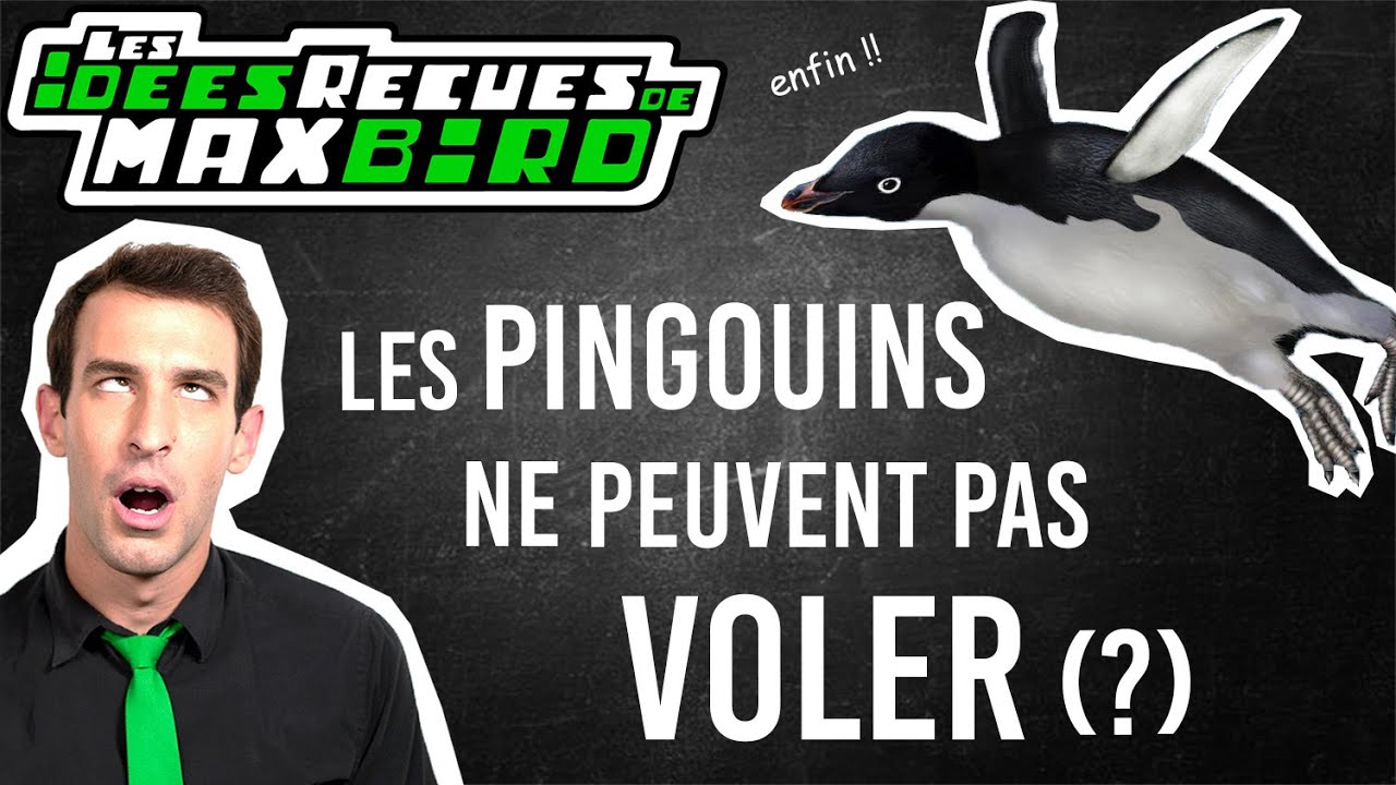 IDE REUE  53  Les pingouins ne peuvent pas voler