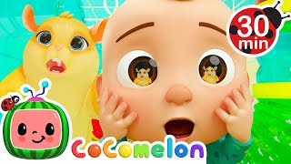 lost hamster song more cocomelon animal time animals for kids