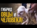 Tоп 5 самых невероятных открытий XXI века