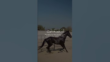 🌸إن الله يدافع عن الذين آمنوا🎙️المقرئ:هيثم الدخين📖سورة الحج💫 |الآية {38}|