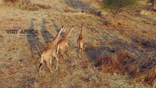 Visit Africa - Uncuted Clips 9