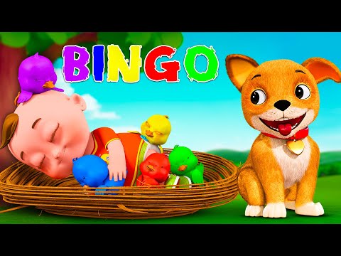 BINGO | Nursery Rhymes & Kids Songs | Bingo school dog song | Joyful jingles