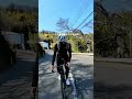 迫力がパない映像がとれますよ!
