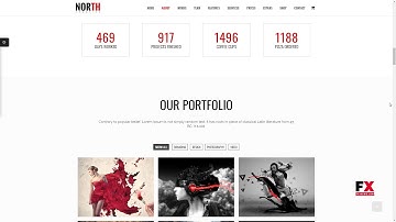 North - One Page Parallax WordPress Theme