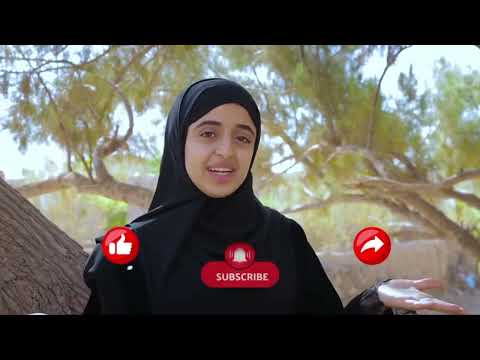 بث مباشر لملاك فتحي - ذكراك في قلبي