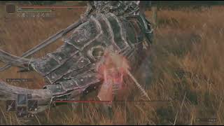 Greatswords 31 dex (Gaius) no hit