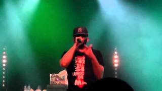 TAIPAN - Crame 1 Gramme & Le Monde est Flingué - Live au Festival Hip Hop Impact 3
