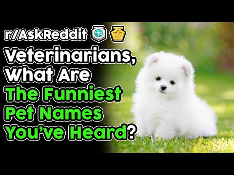 veterinarians-share-the-funniest-pet-names-they've-heard-(r/askreddit-top-stories)