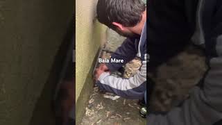 Droguri Descoperite In Parc Baia Mare De Jandarmi