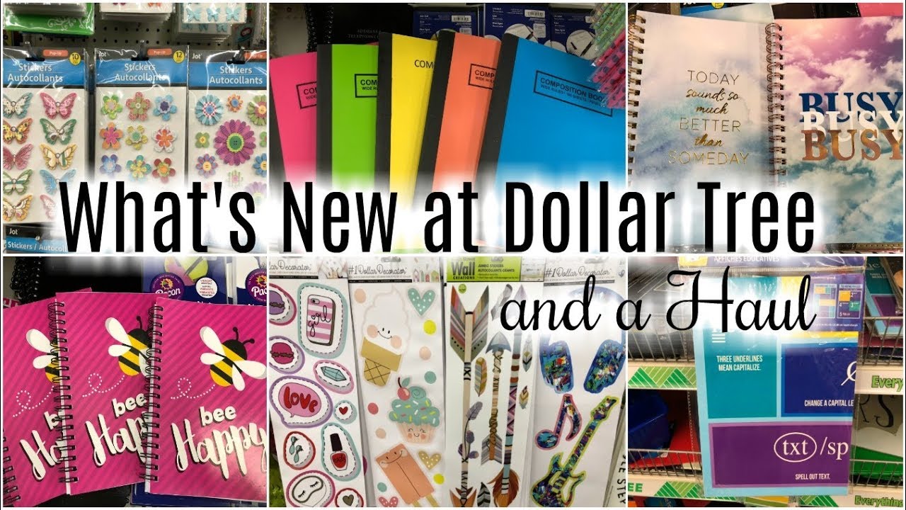 WHAT's NEW AT DOLLAR TREE + DOLLAR TREE HAUL | AMAZING NEW FINDS!!