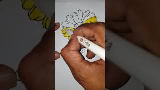 how to colour a sunflower very simply 🌞 🌼🌼  #sunflower #coloring #arts #easydrawing #shorts