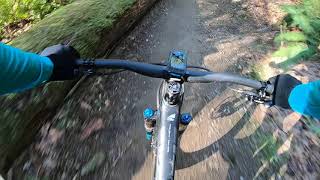 Duthie Hill Step It Up 1 of 2