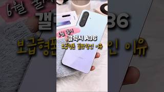 갤럭시 a36 보급형폰 종결하러 왔습니다#효도폰#키즈폰#업무폰#가성비폰