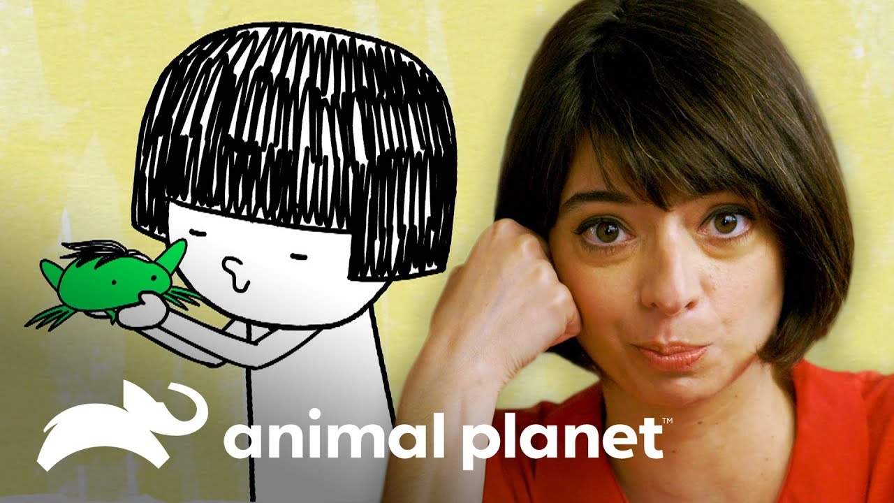 O sapo que não virou príncipe | Celebridade Animal | Animal Planet Brasil video editing software free