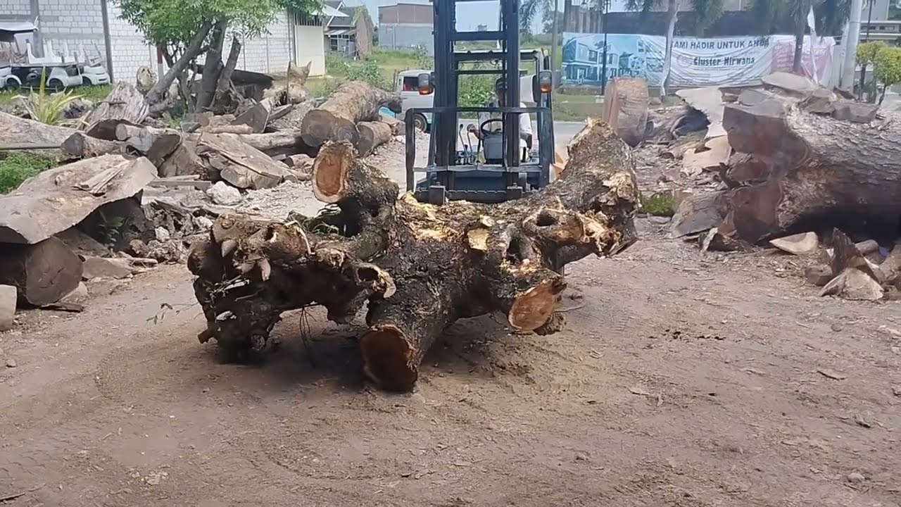 TRENDING!! Uniquely Shaped Wood Transformed into Beautiful Solid Wood! SAWMILL PROCESS 